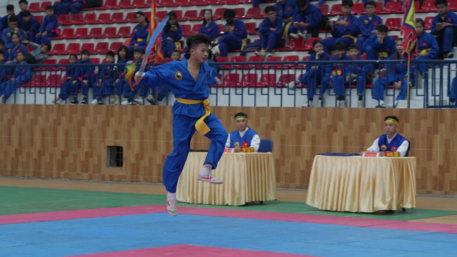 Khai mạc Giải võ Thiên Môn Đạo TP Hà Nội - Anh 2