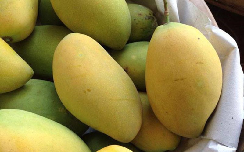 Khám phá thêm lợi ích sức khỏe khi ăn xoài - Anh 1