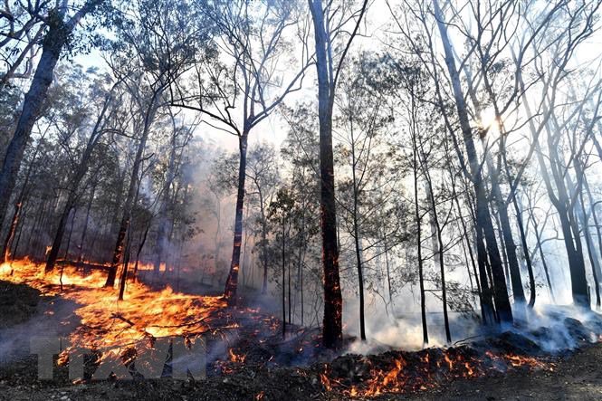 Australia: Tạm khống chế