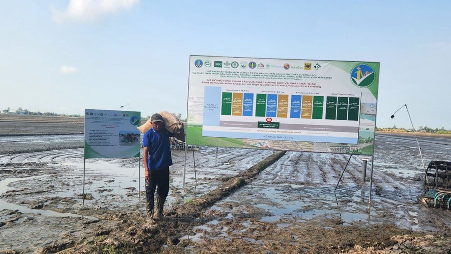 Nông dân TP. Cần Thơ áp dụng mô hình canh tác lúa thông minh, giảm phát thải