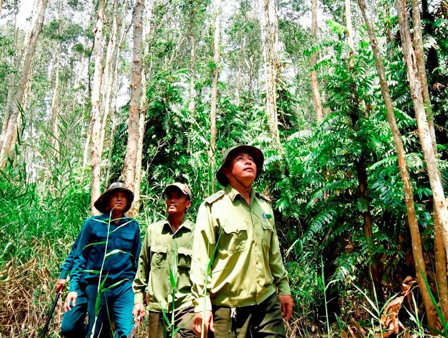UBND tỉnh Cà Mau yêu cầu lực lượng Kiểm lâm tăng cường các phương án phòng, chống cháy rừng mùa khô năm 2026-2027