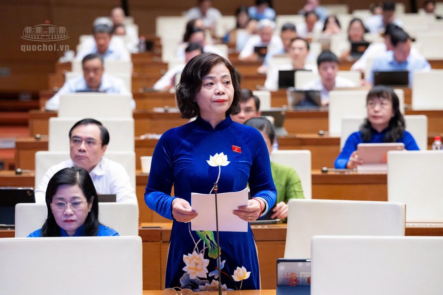 Đại biểu Nguyễn Thanh Cầm, đoàn ĐBQH tỉnh Đồng Tháp phát biểu