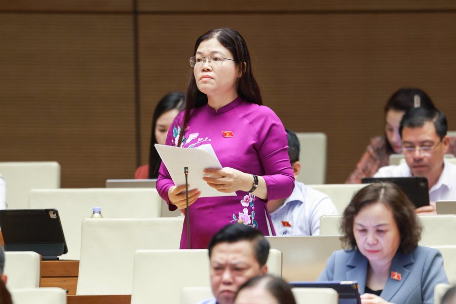 Đại biểu Lương Thị Hoa phát biểu